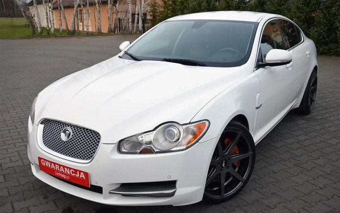 Jaguar XF cena 49900 przebieg: 219000, rok produkcji 2011 z Piwniczna-Zdrój małe 781